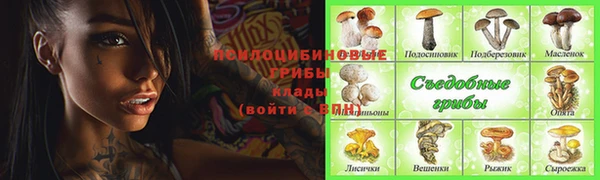 a pvp Киреевск