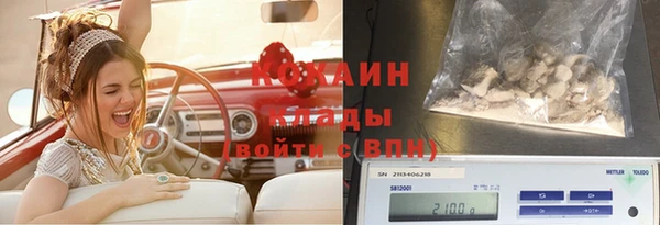 ГАЛЛЮЦИНОГЕННЫЕ ГРИБЫ Кинешма